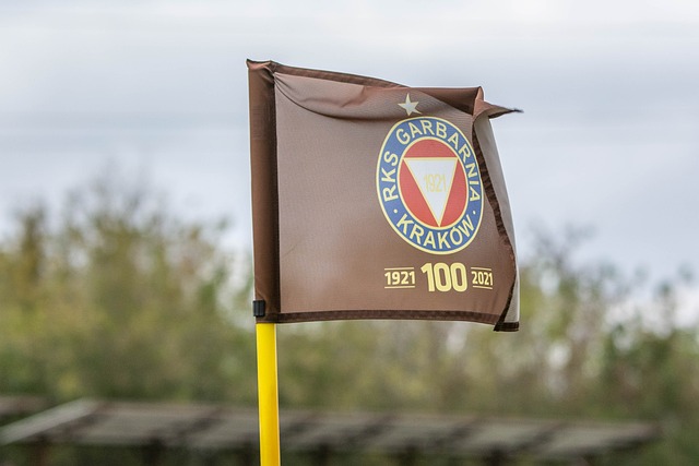 对篮板和进 对篮板和进