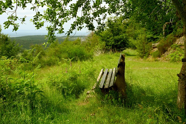 生涯的第二 生涯的第二