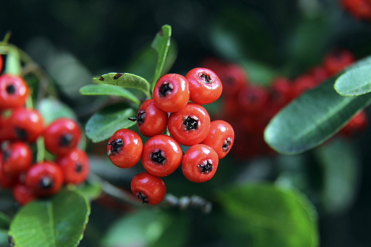 效率的下降 效率的下降