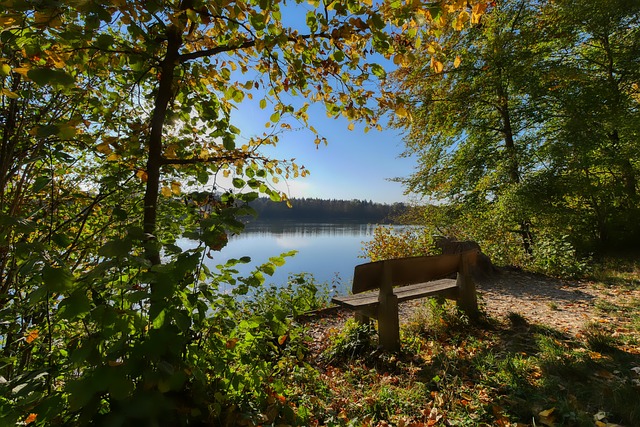 2022卡塔爾世界杯高清直播地址.