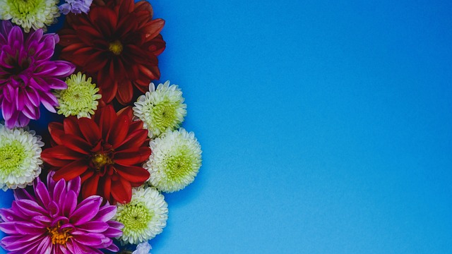 耳曼打入 耳曼打入